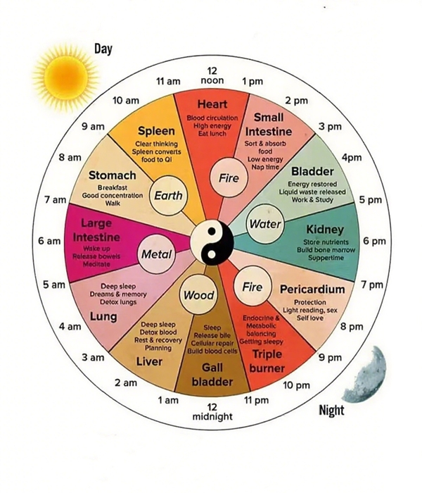 TCM Five Elements.jpg