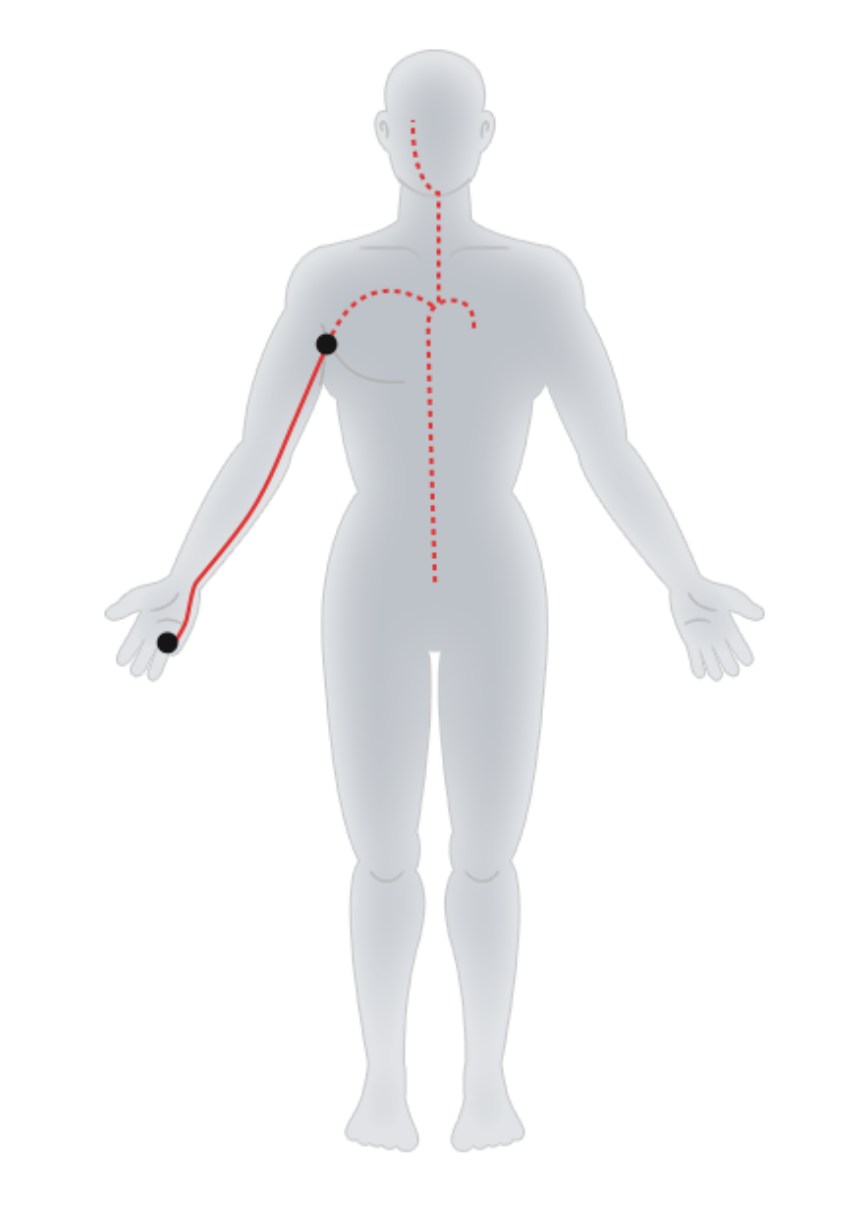 Hand - Taiyang Small Intestine Meridian.jpg