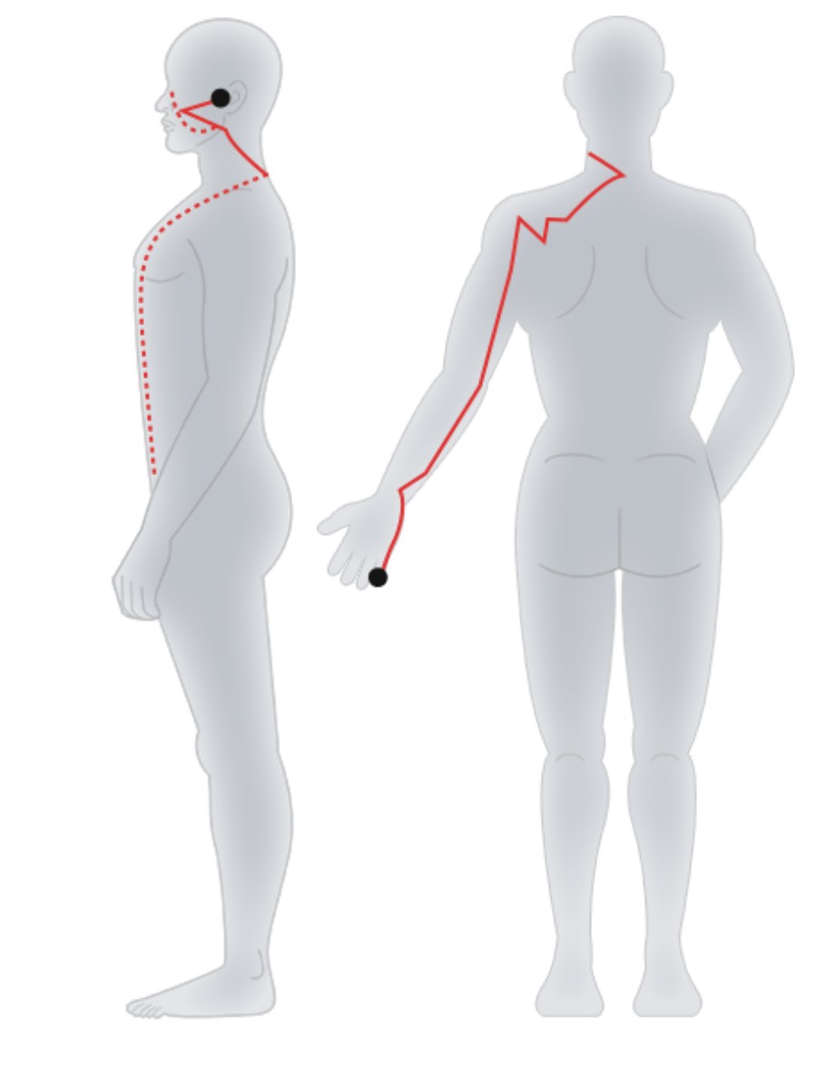 Hand-Taiyang Small Intestine Meridian.jpg