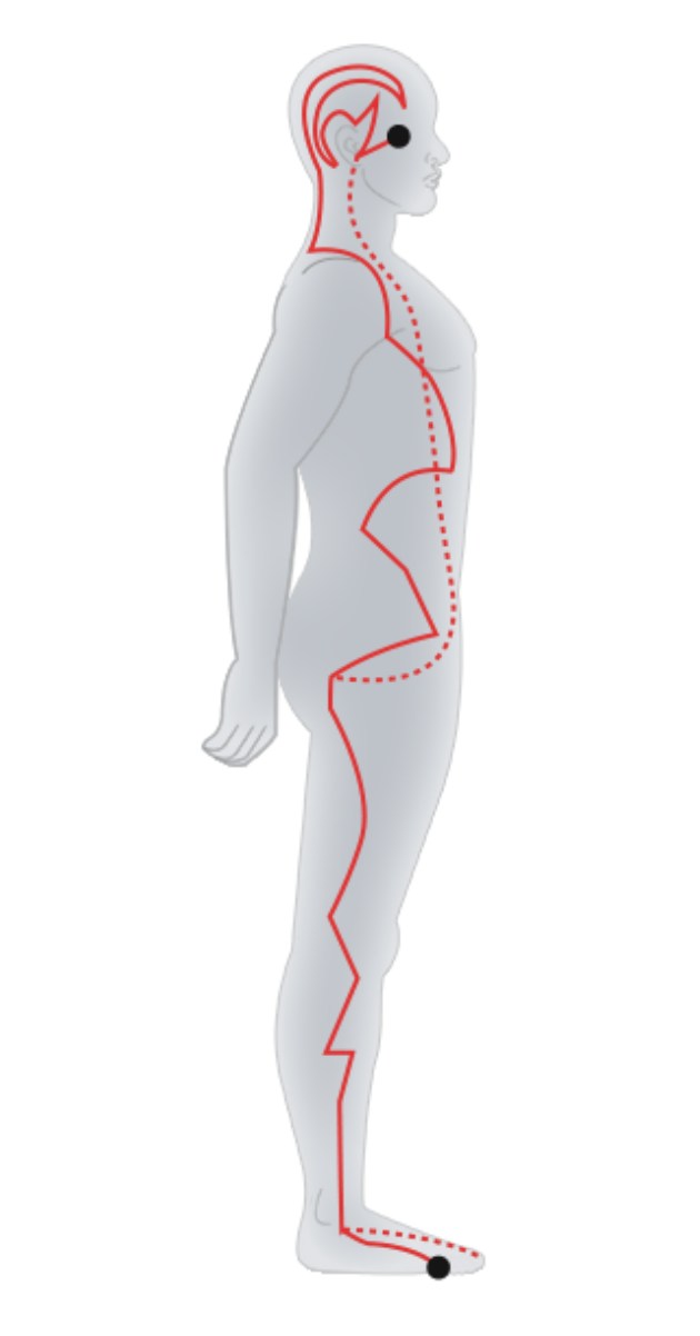 Foot-Shaoyang Gallbladder Meridian.jpg